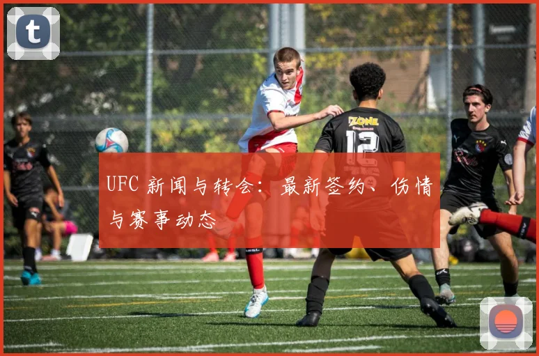 UFC 新闻与转会：最新签约、伤情与赛事动态