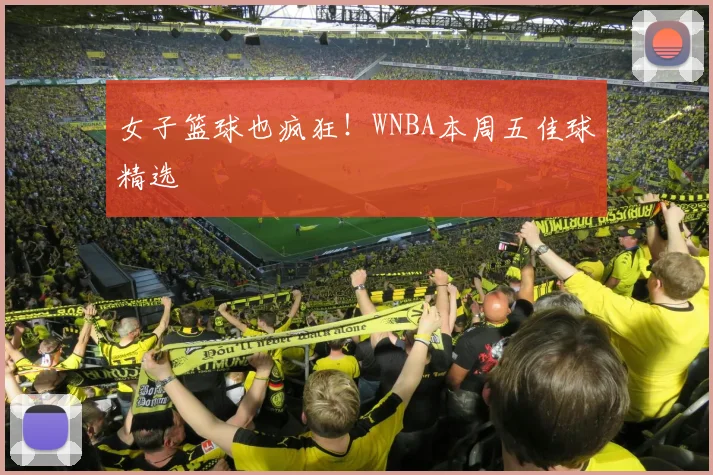女子篮球也疯狂!WNBA本周五佳球精选