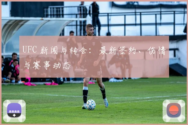 UFC 新闻与转会：最新签约、伤情与赛事动态