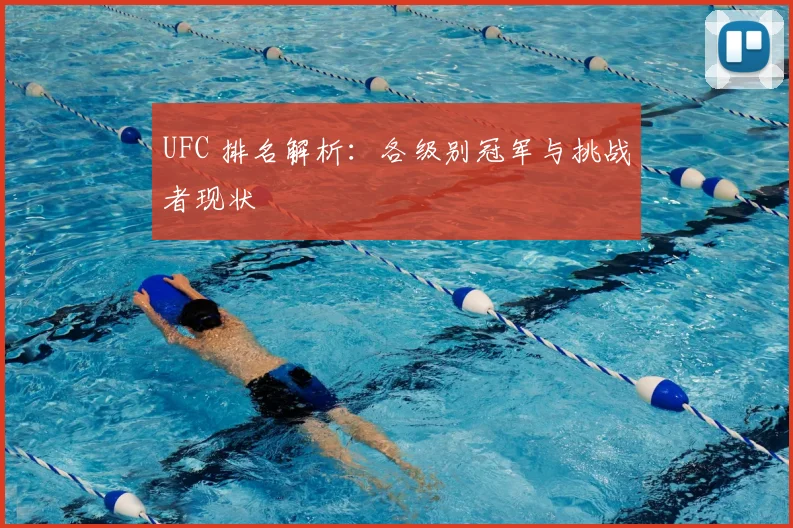 UFC 排名解析:各级别冠军与挑战者现状